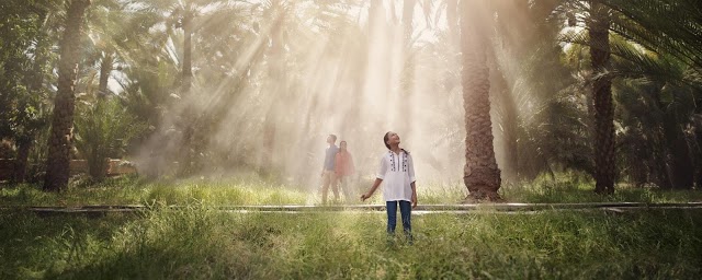 Travel to the Past at Al Ain Oasis_1